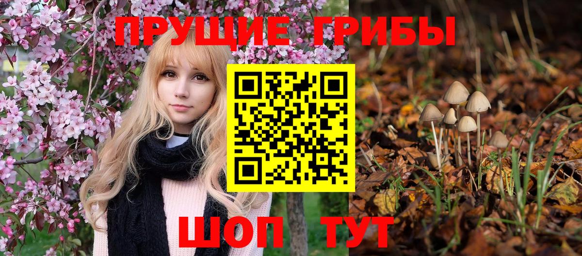 цены наркотик  Псилоцибиновые грибы MAGIC MUSHROOMS  Вход с VPN  Крымск 