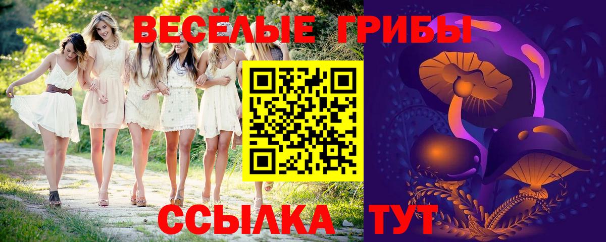Галлюциногенные грибы Psilocybine cubensis Крымск
